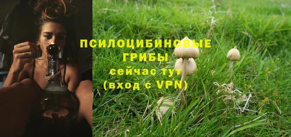 spice Арсеньев