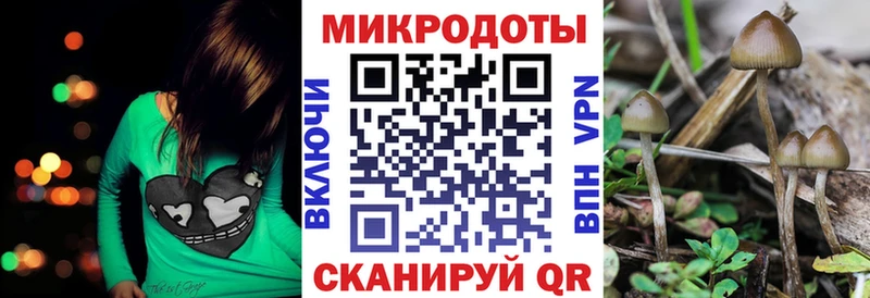 Псилоцибиновые грибы Psilocybine cubensis кракен рабочий сайт Лукоянов где купить